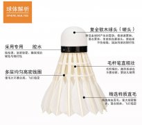 比赛训练用羽毛球室内户外鹅毛球耐打王学生12只装练习球