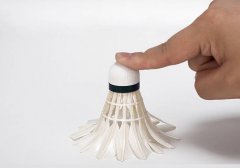 比赛训练用羽毛球室内户外鹅毛球耐打王学生12只装练习球