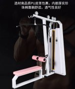 高低拉训练器女子塑形背肌训练器材私教工作室用高低拉训练器